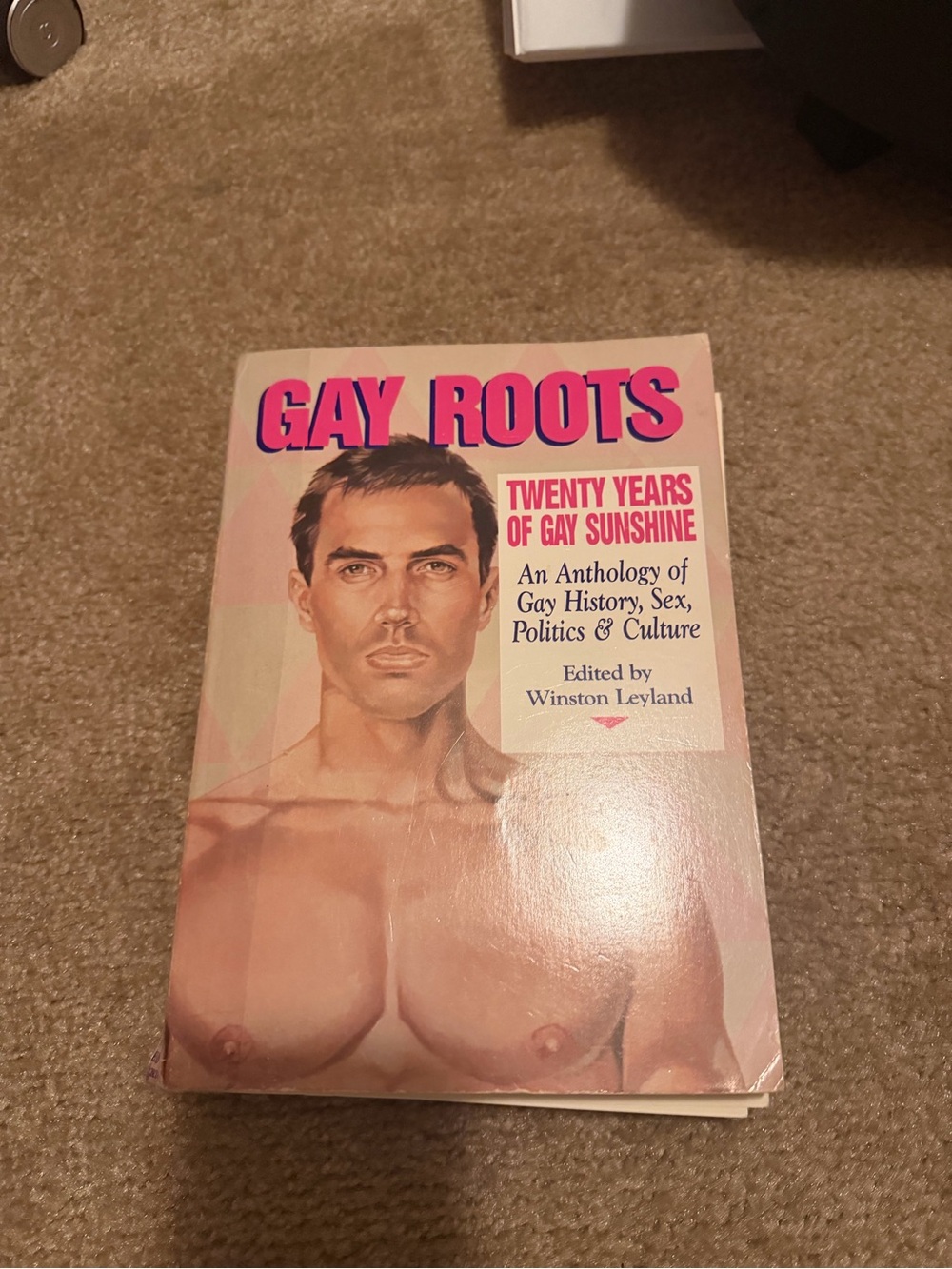Gay Roots: Twenty Years of Gay Sunshine - Anthology Book (Pink Cover)